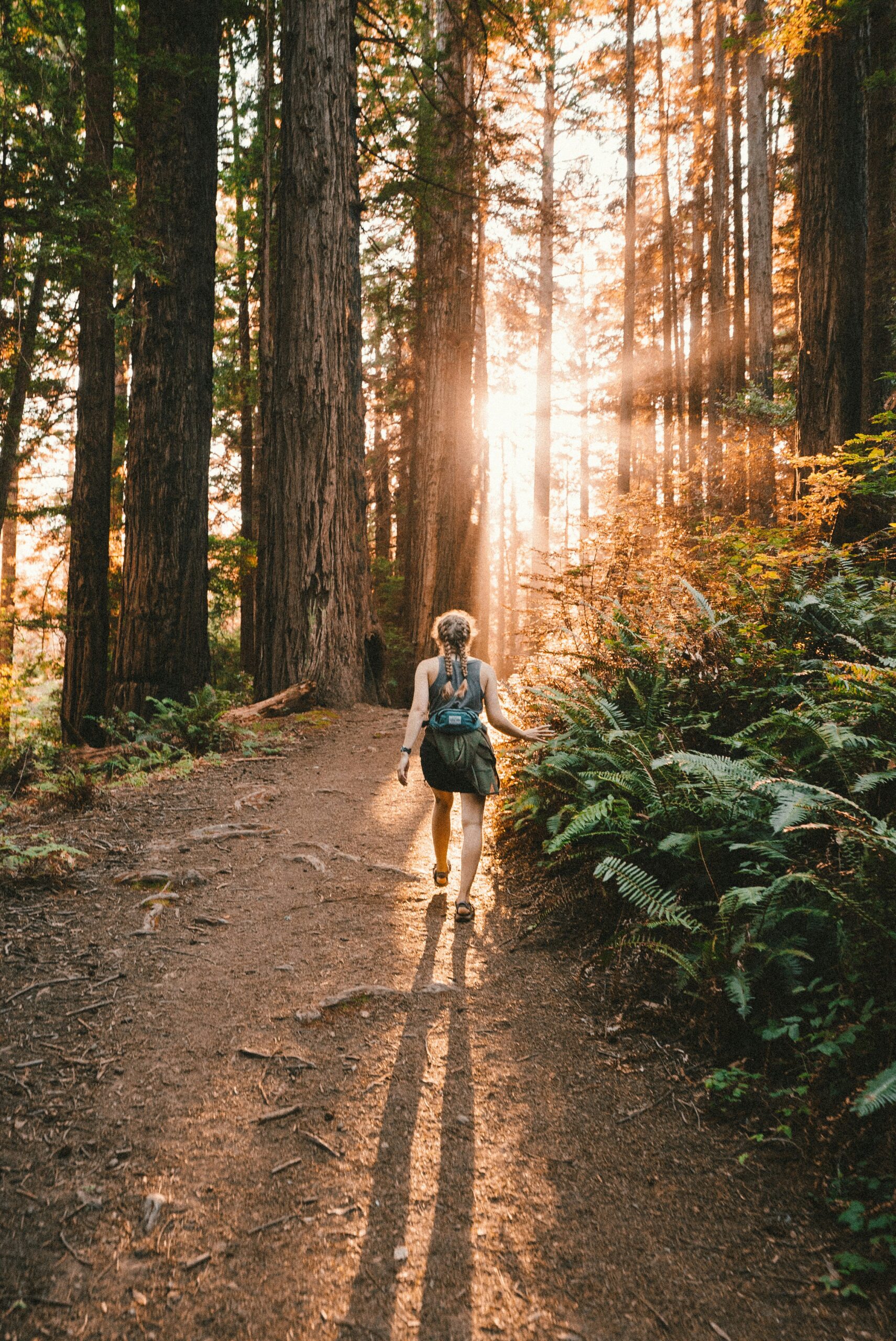 Kevin Wolf Rr 3tpYdUb0 Unsplash Scaled